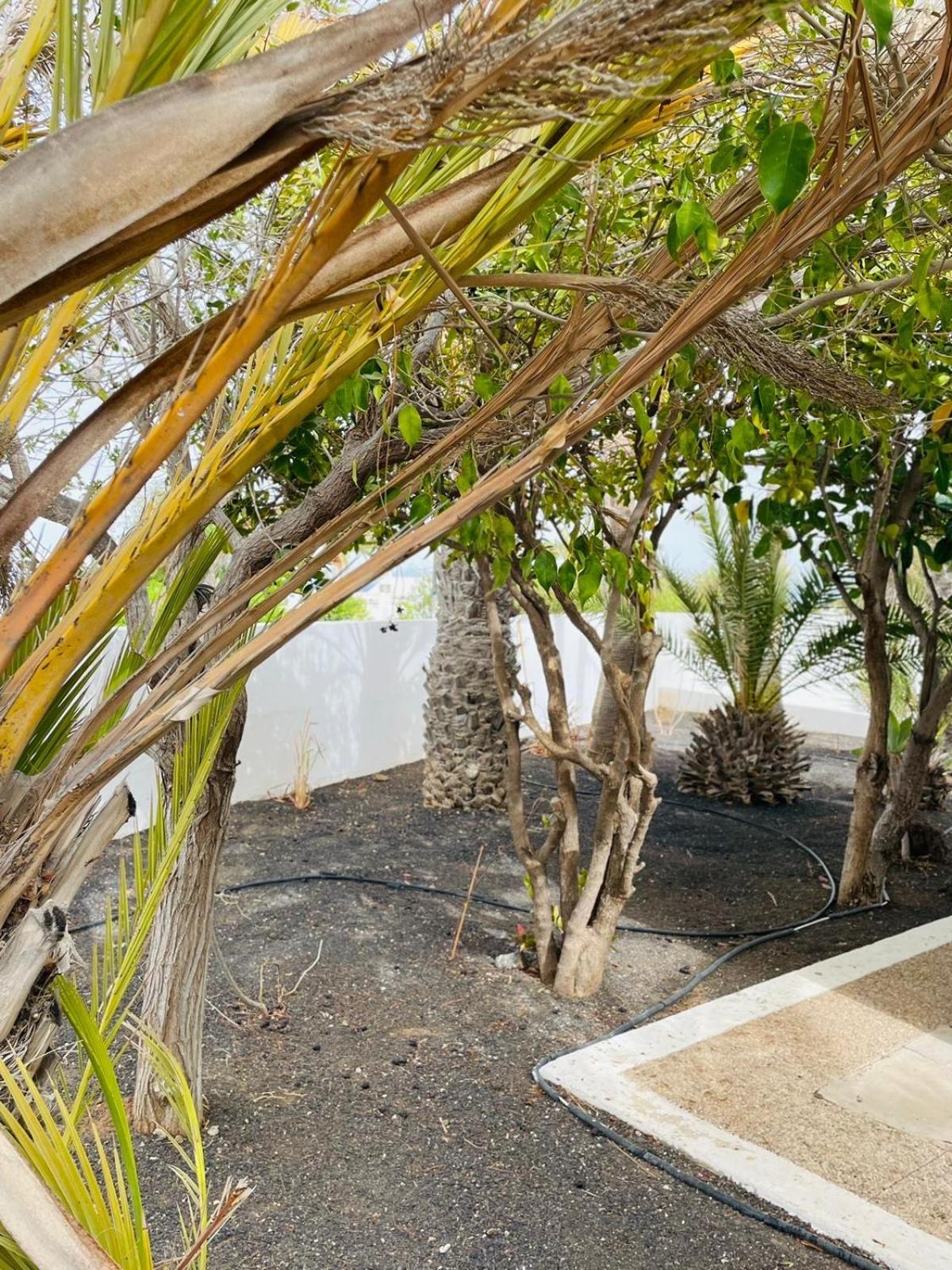 Villa Rosa Puerto del Carmen  Exteriör bild